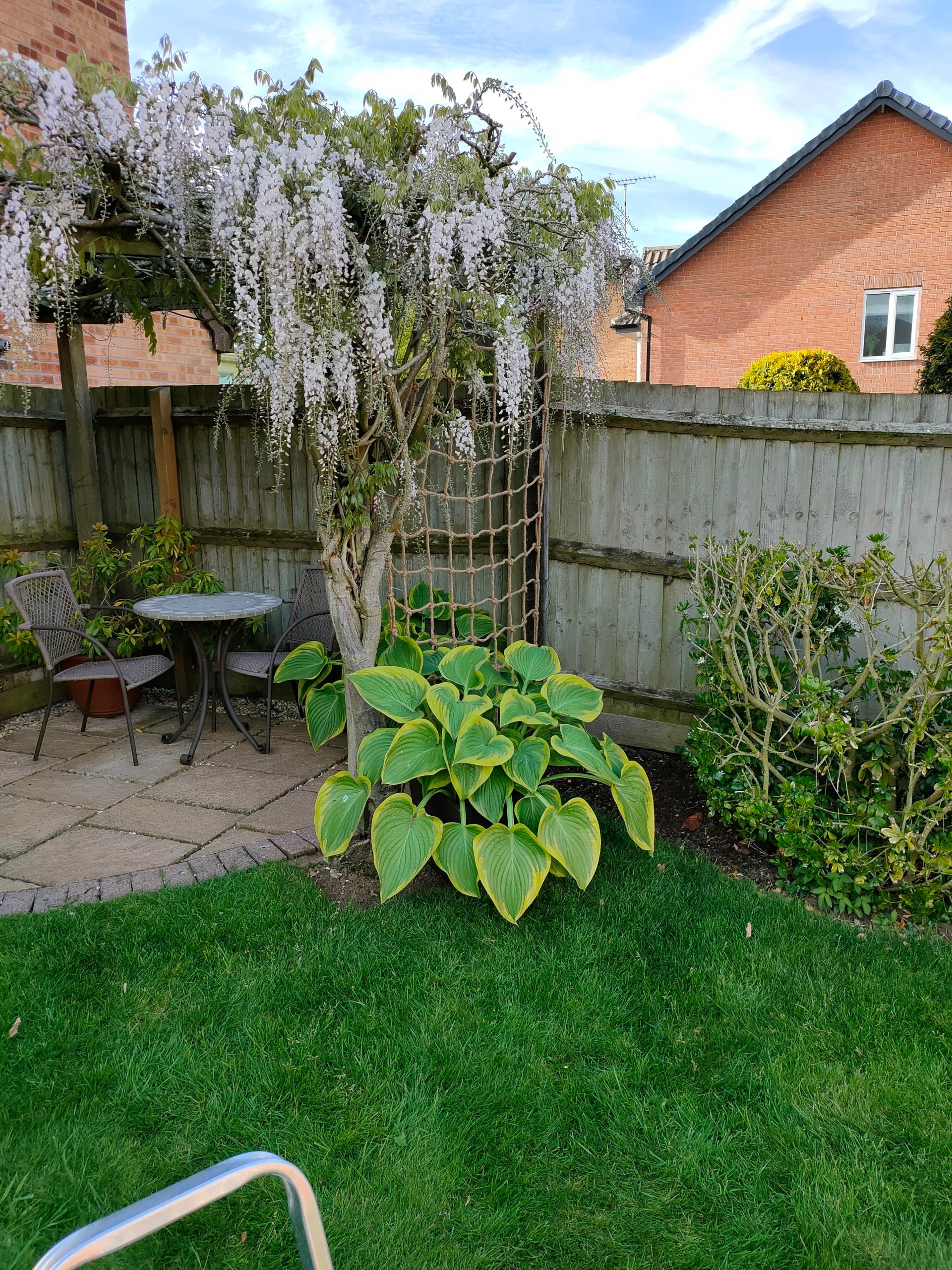 Treadstone Rope Trellis