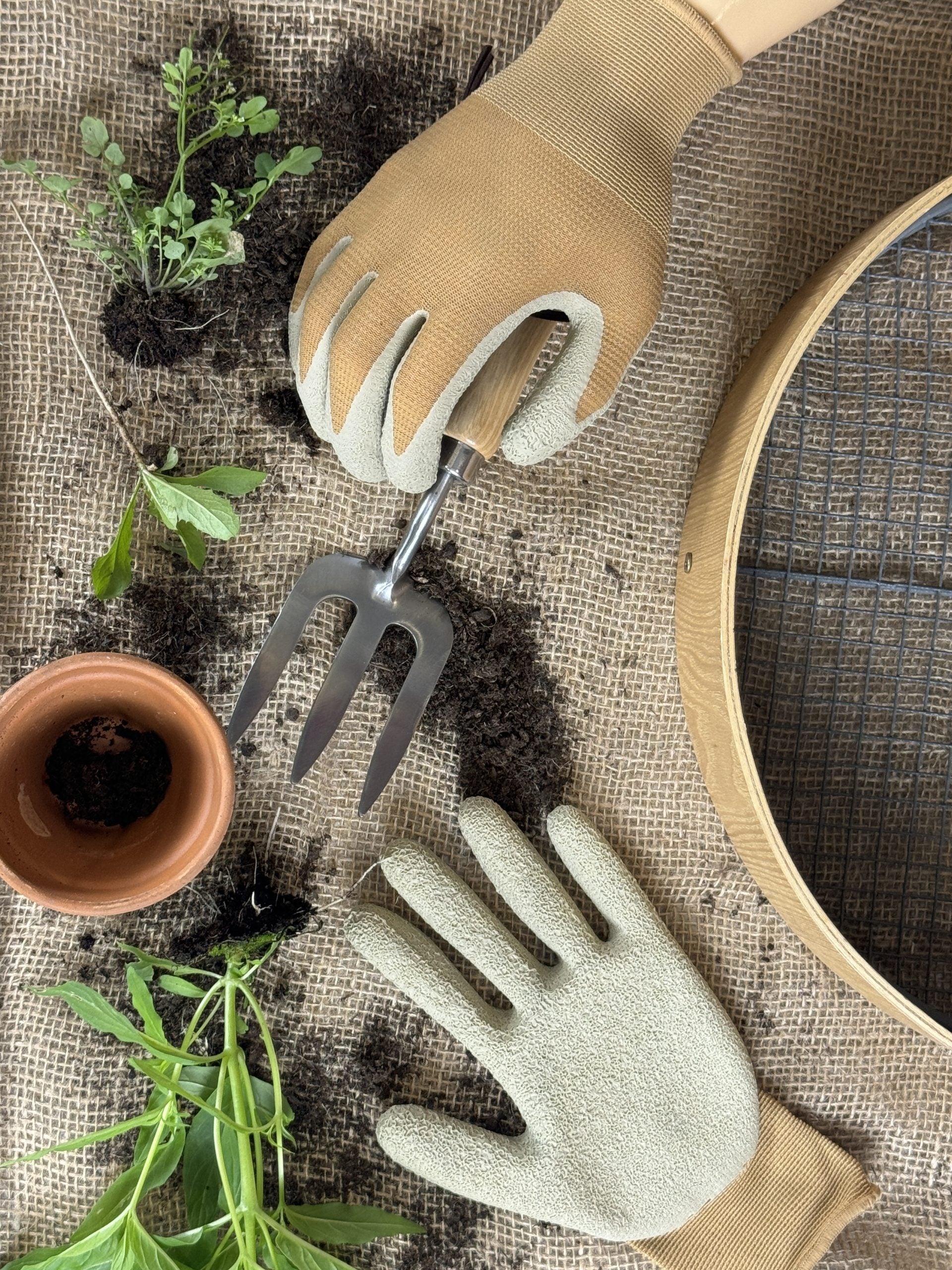 Treadstone Aspen - The One For Weeding