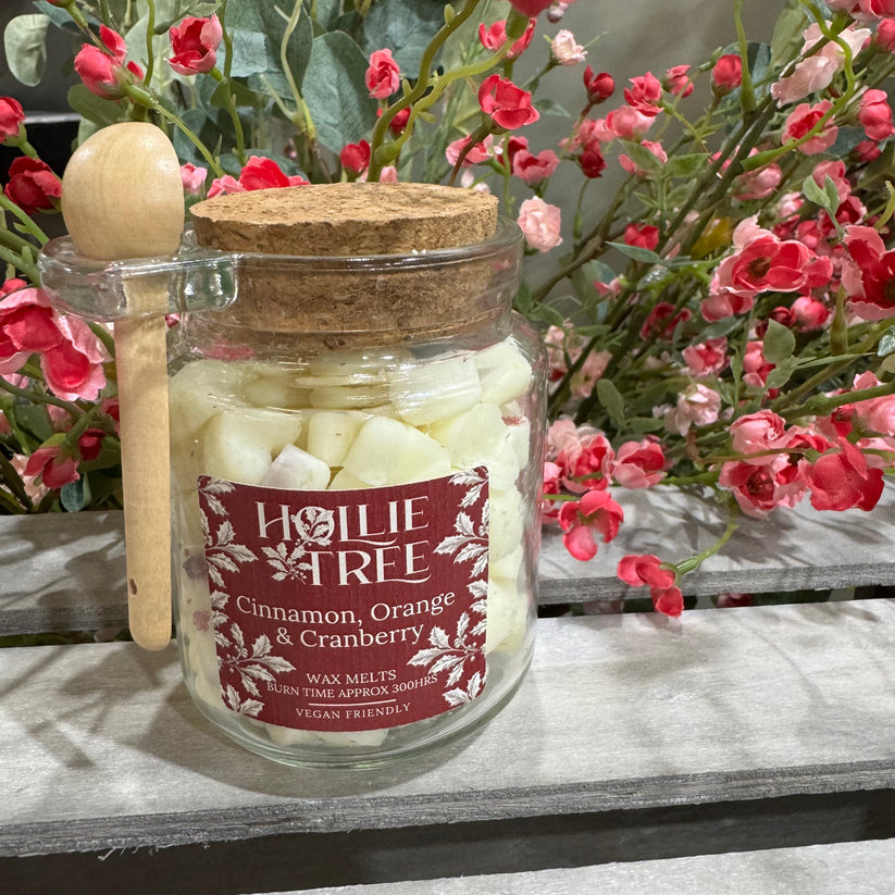 Hollie Tree Cinnamon, Orange & Cranberry Melting Pot