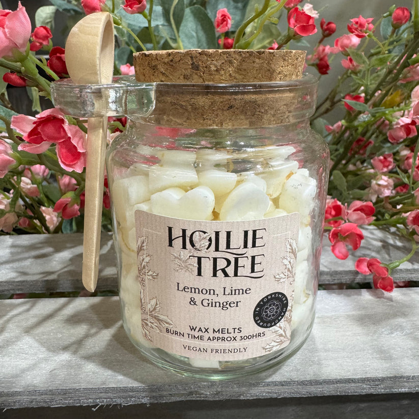 Hollie Tree Lemon, Lime & Ginger Melting Pot