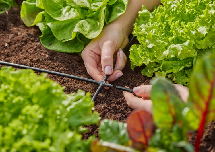 Gardena 4-Way Coupling 4.6 mm 3/16 10pk