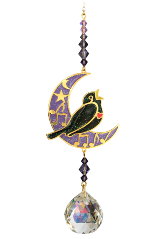 Wild Things Crystal Dreams Blackbird Moonlight