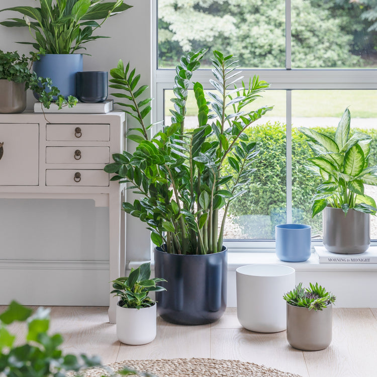 Ivyline Lisbon Planter Greige