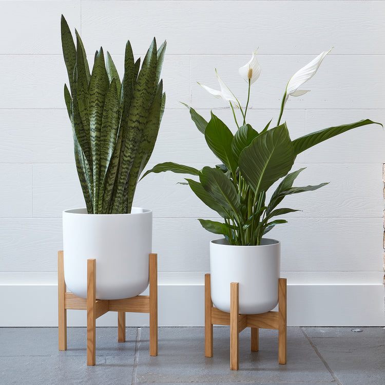 Ivyline Lisbon Planter White