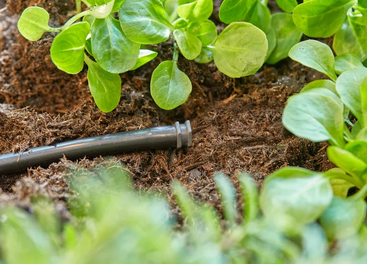 Gardena Plug 4.6 mm (3/16") 10pk