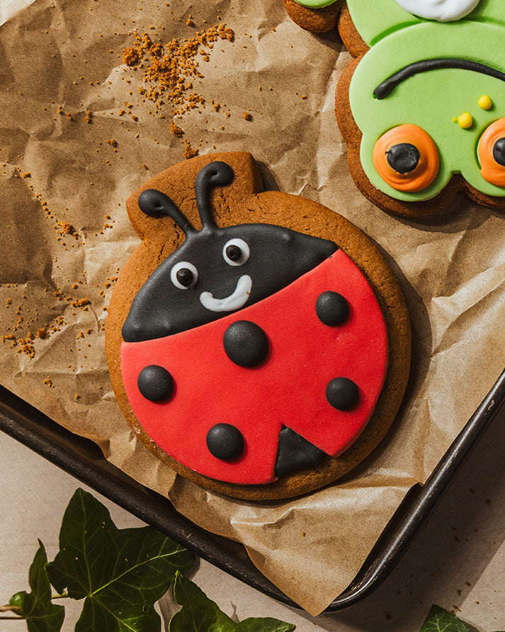 The Original Baker Ladybird Gingerbread Biscuit