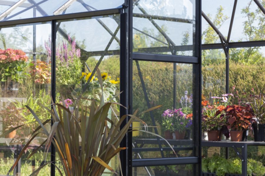 Vitavia Phoenix Greenhouse