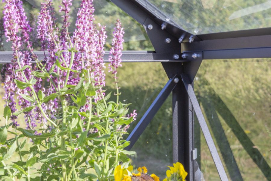 Vitavia Phoenix Greenhouse