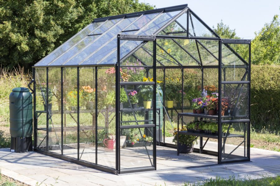 Vitavia Phoenix Greenhouse