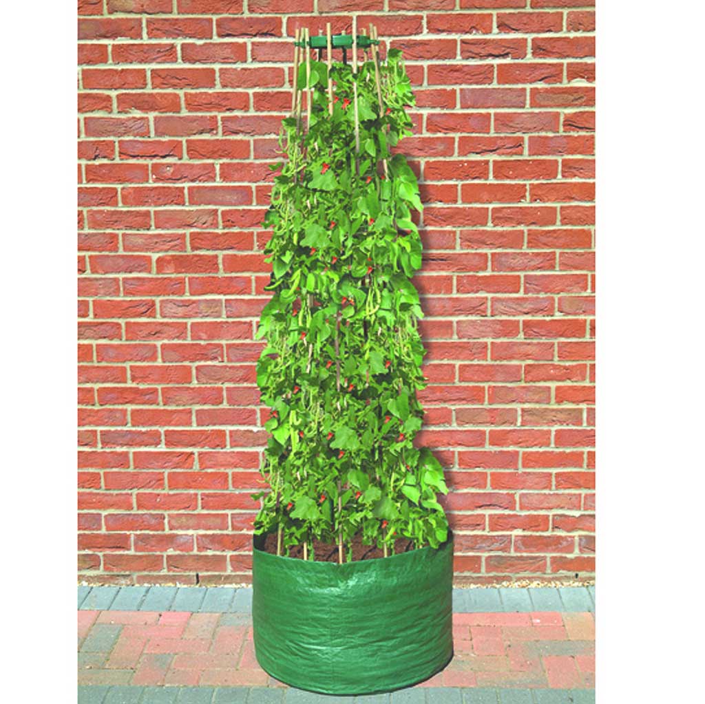 Growers Choice Reusable Runner Bean Bag With Bean Ring