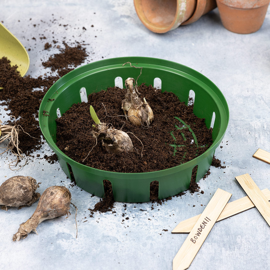 Growers Choice Small 26cm Bulb Basket