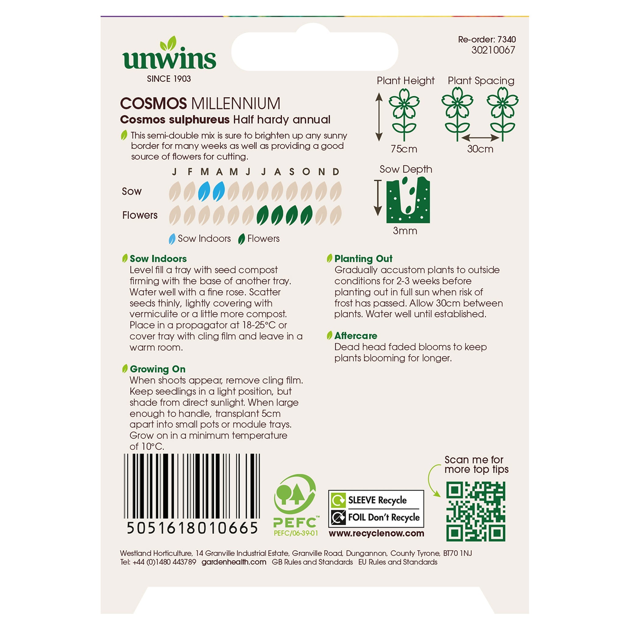 Unwins Cosmos Millennium Seeds