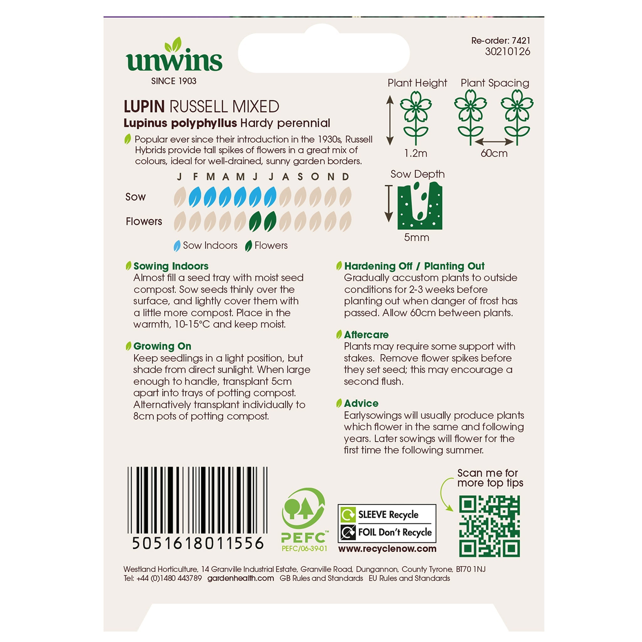 Unwins Lupin Russell Mixed Seeds