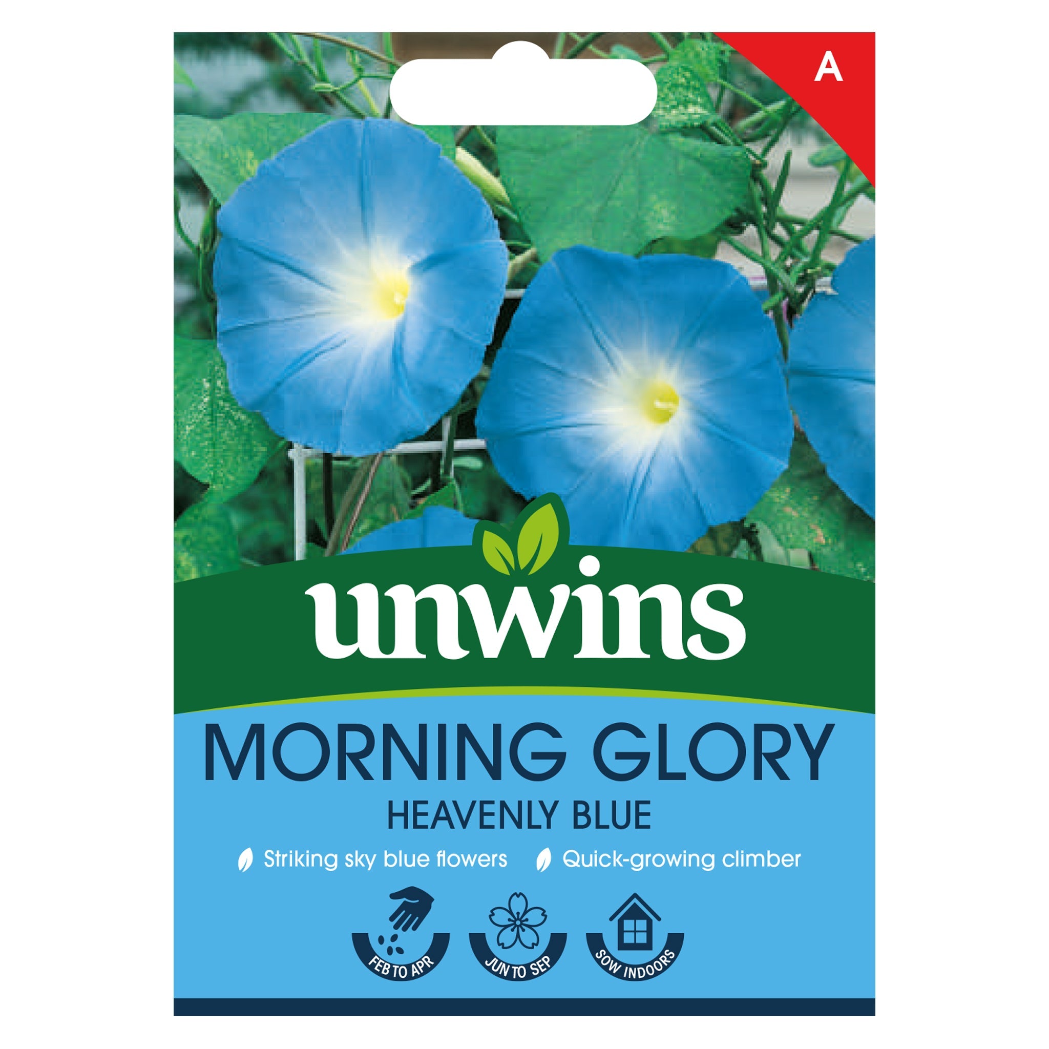 Unwins Morning Glory Heavenly Blue Seeds