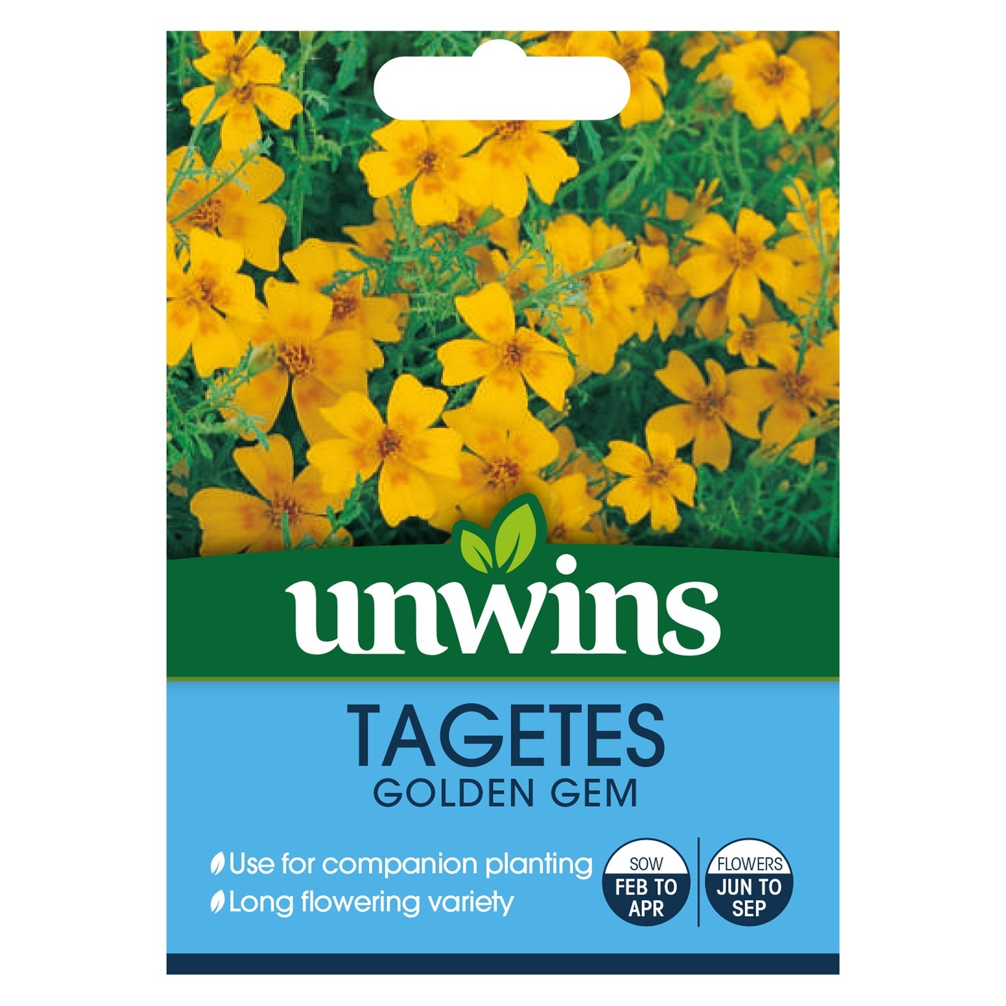 Unwins Tagetes Golden Gem