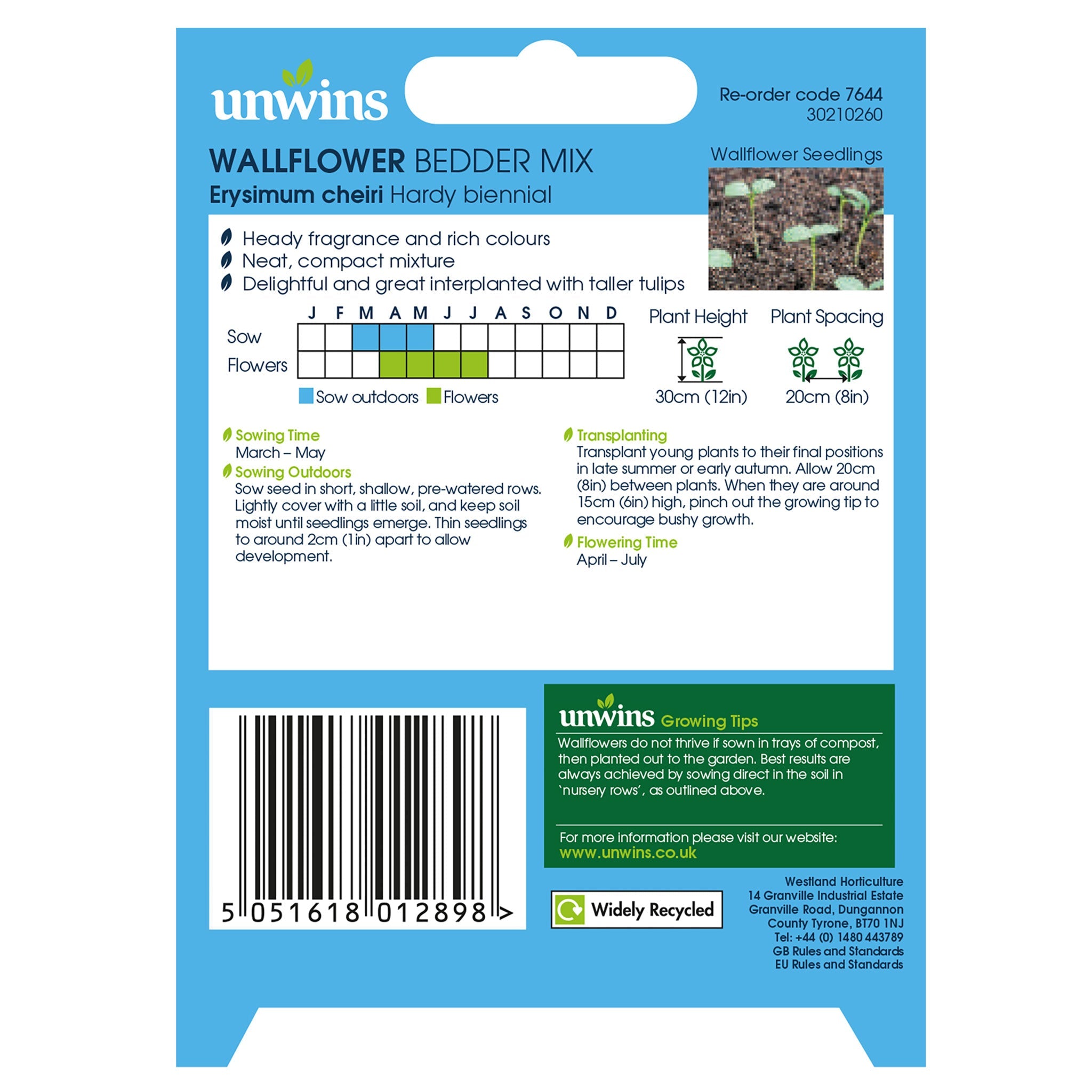 Unwins Wallflower Bedder Mix