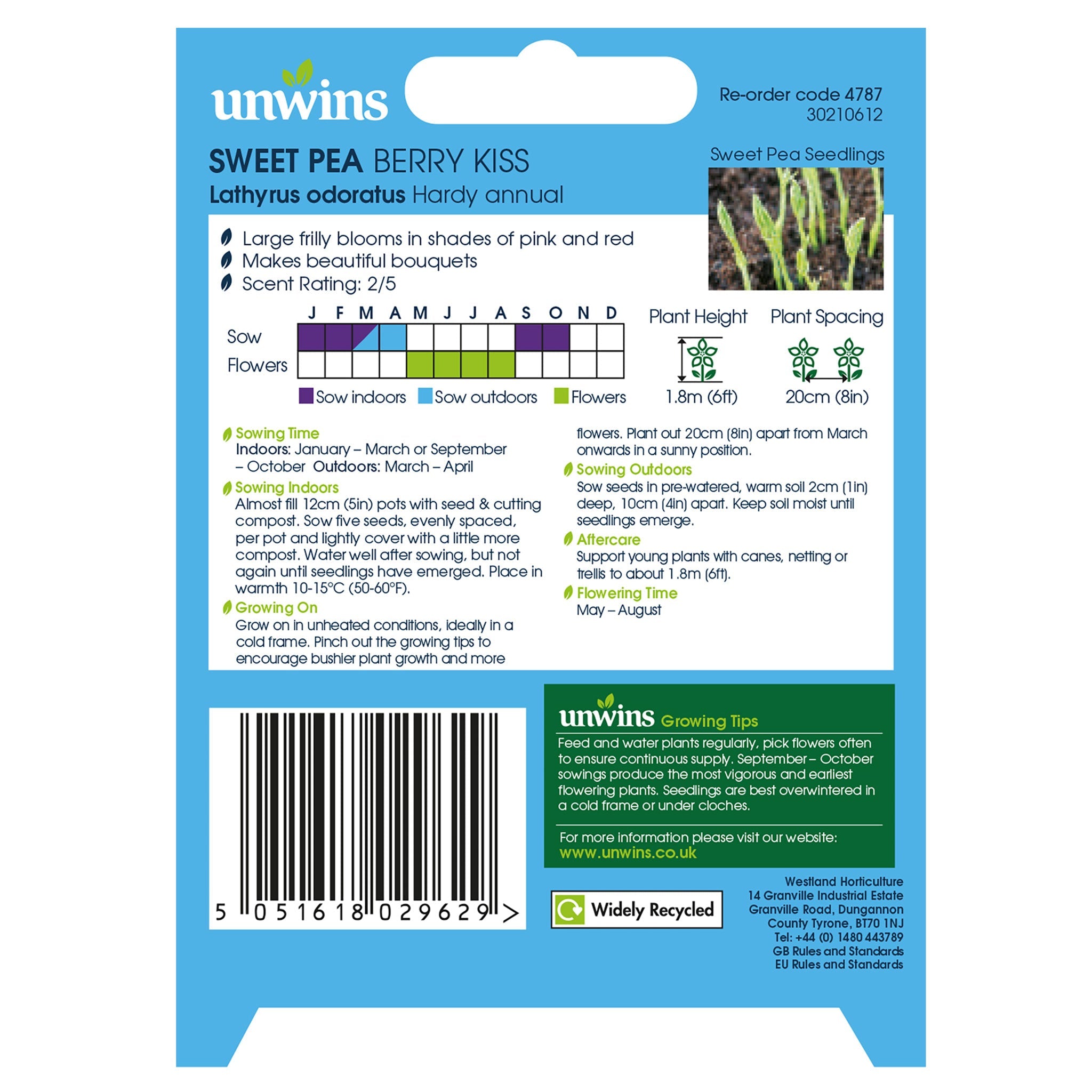 Unwins Sweet Pea Berry Kiss Seeds