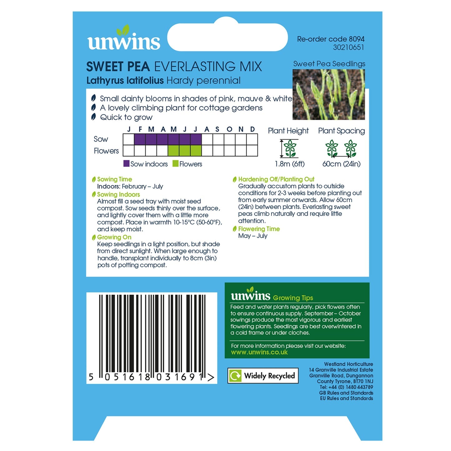 Unwins Sweet Pea Everlasting Mix