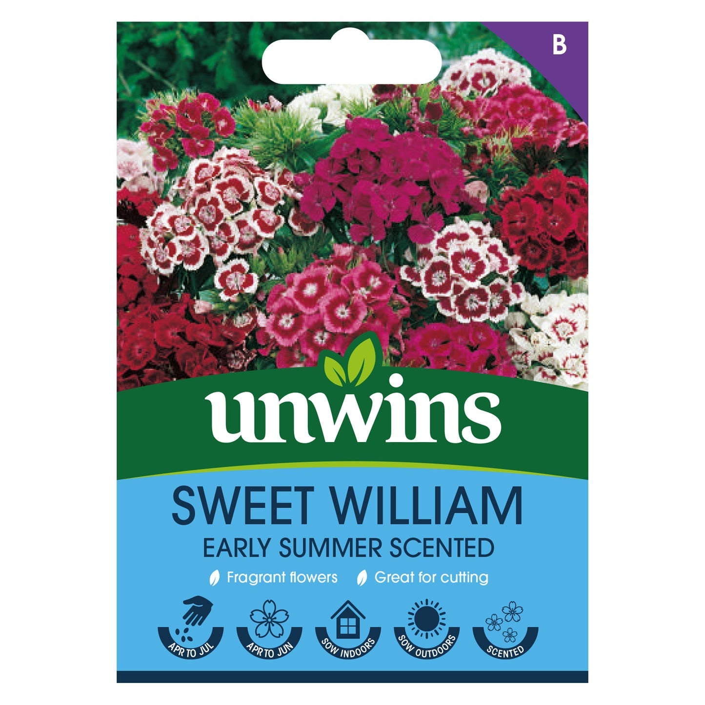 Unwins Sweet William Early Summer Scented
