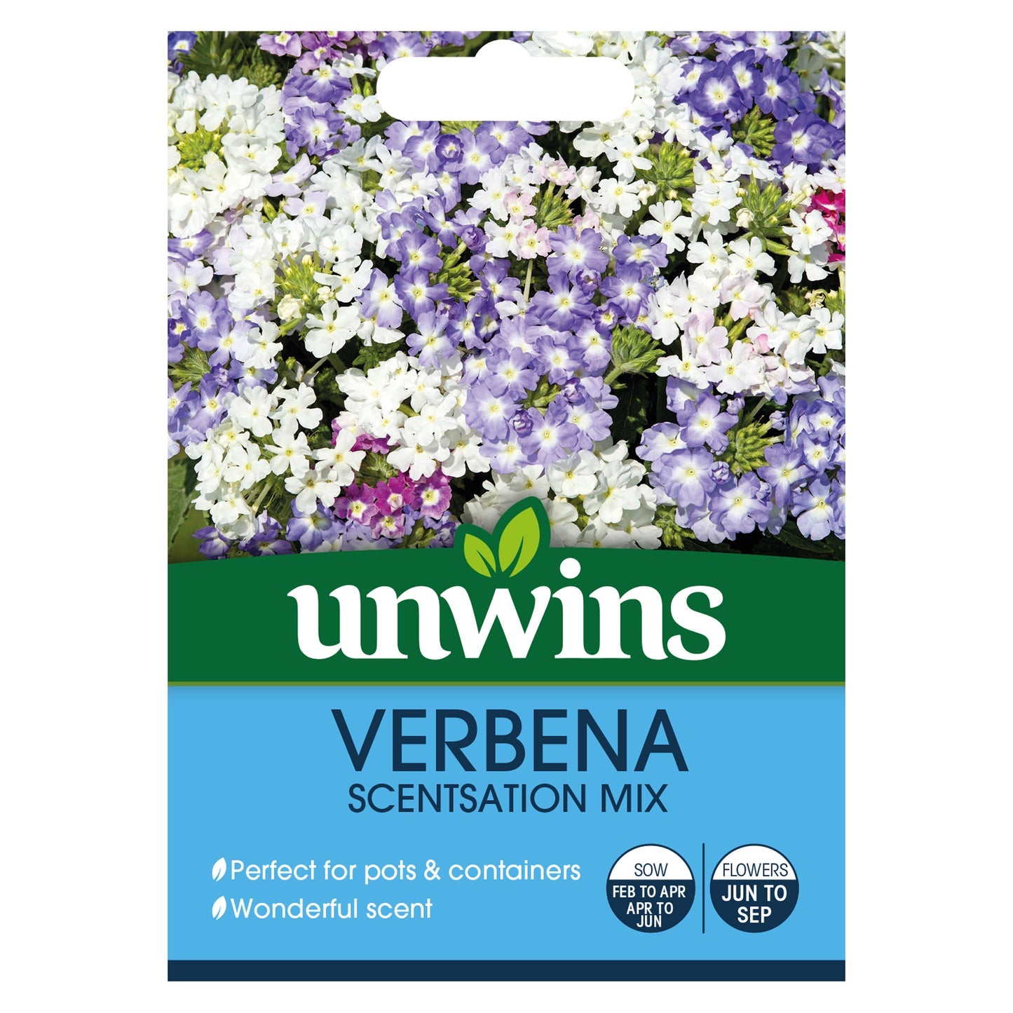 Unwins Verbena Scentsation Mix