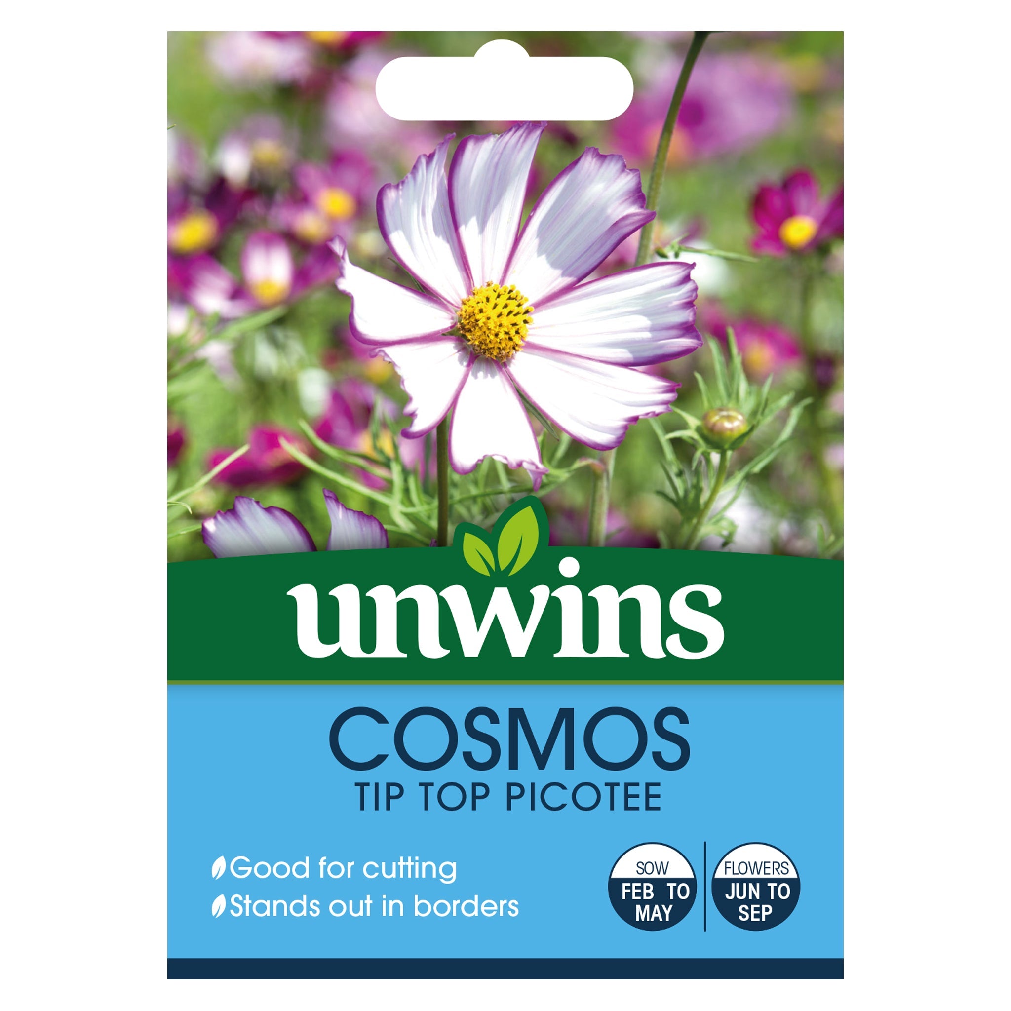 Unwins Cosmos Tip Top Picotee Seeds
