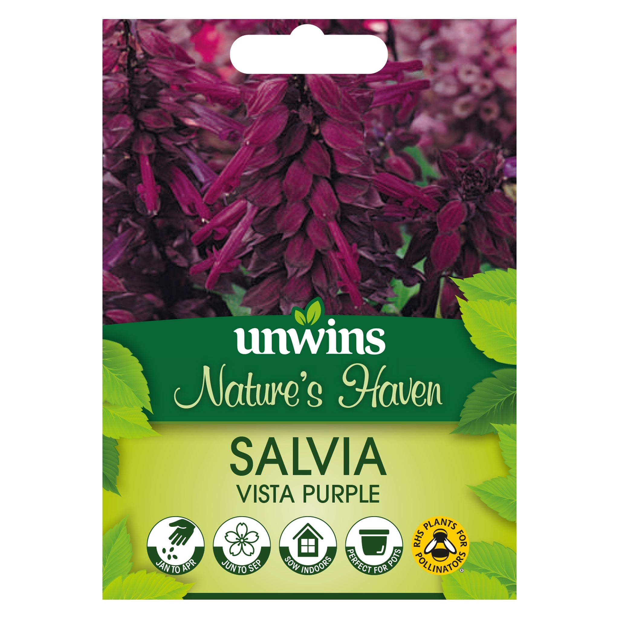 Unwins Nature's Haven Salvia Vista Purple Seeds