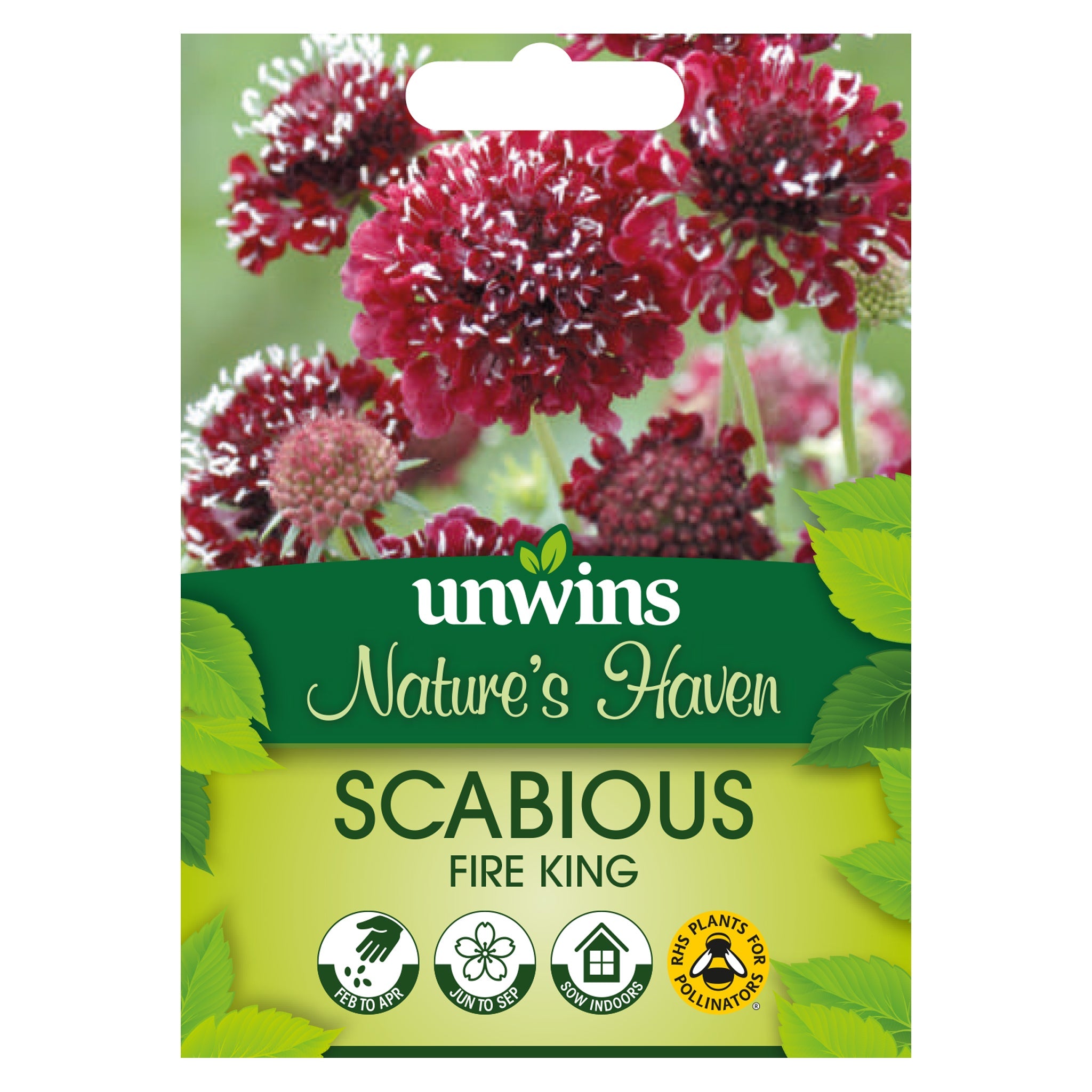 Unwins Nature's Haven Scabious Fire King Seeds