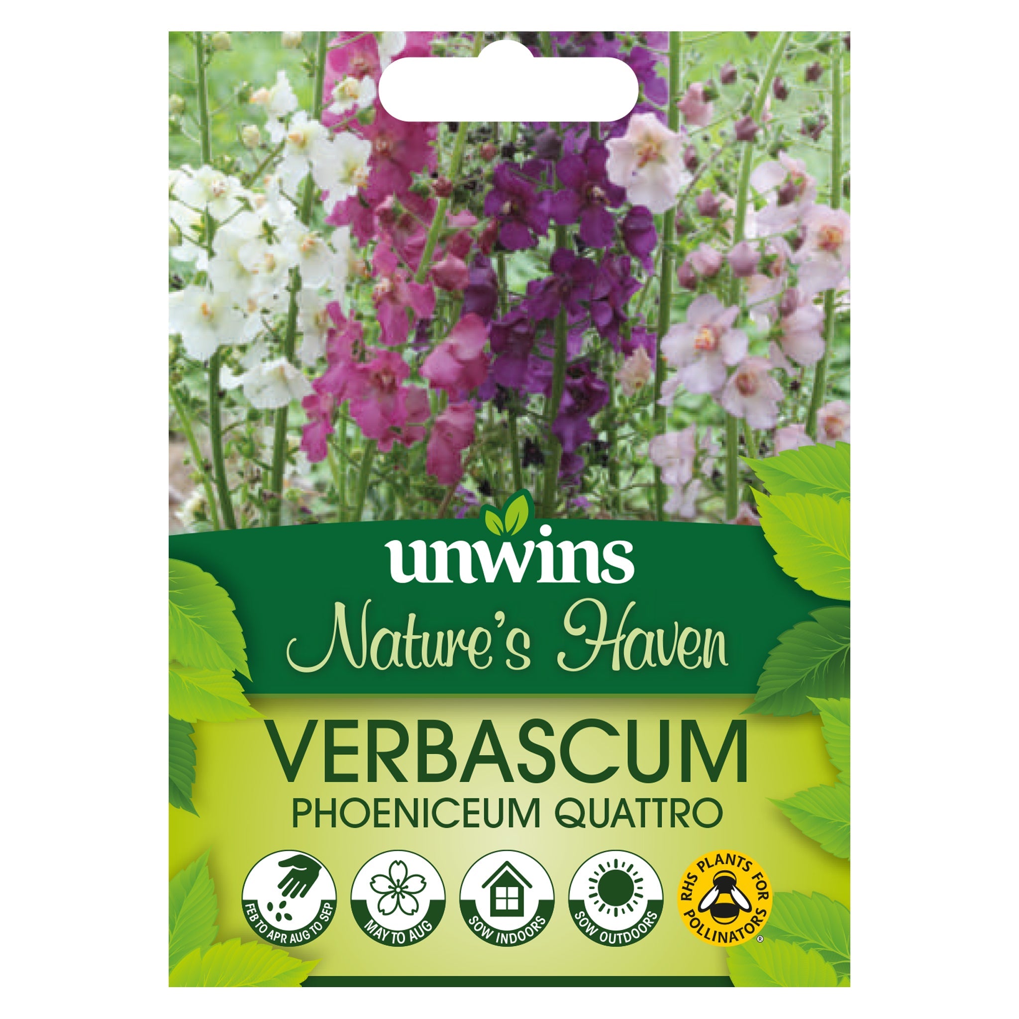 Unwins Nature's Haven Verbascum Phoeniceum Quattro Seeds
