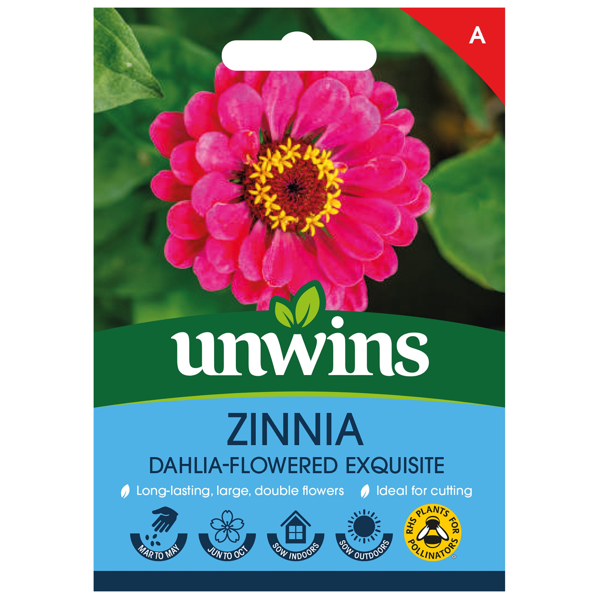 Unwins Zinnia Dahlia-flowered Exquisite