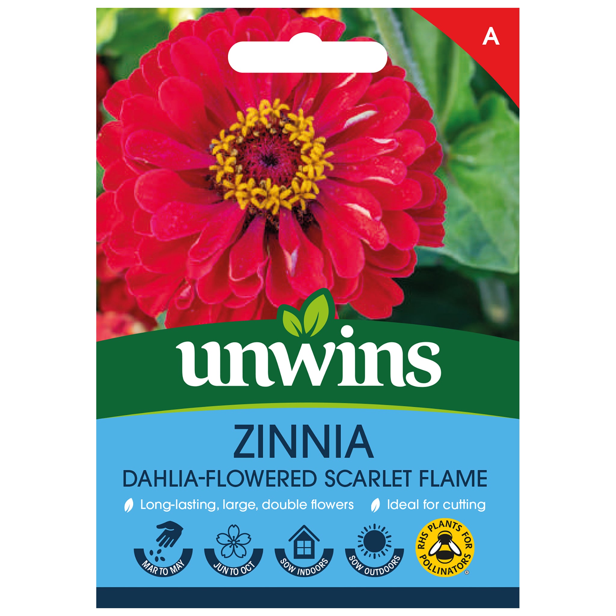 Unwins Zinnia Dahlia-flowered Scarlet Flame