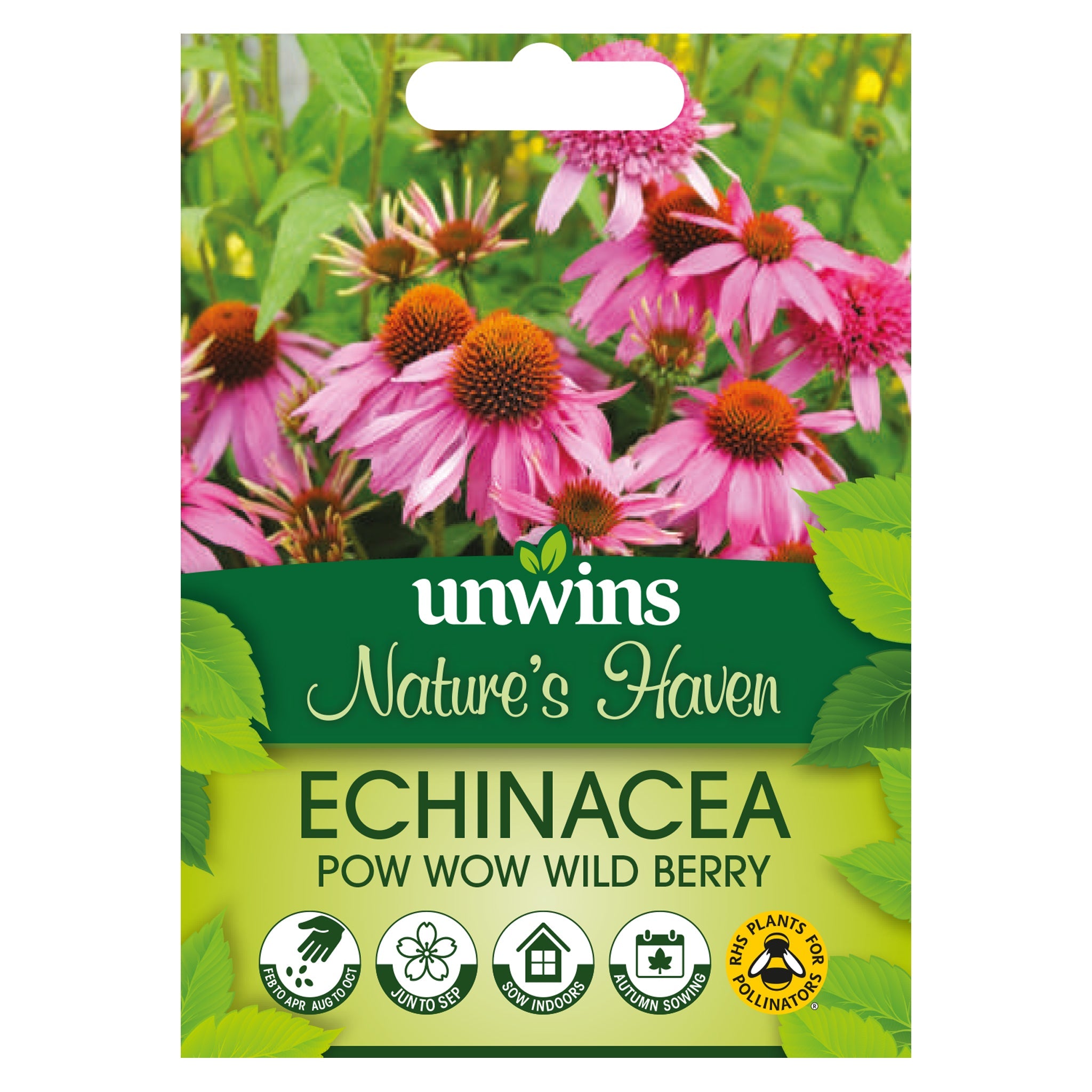 Unwins Nature's Haven Echinacea Pow Wow Wild Berry Seeds