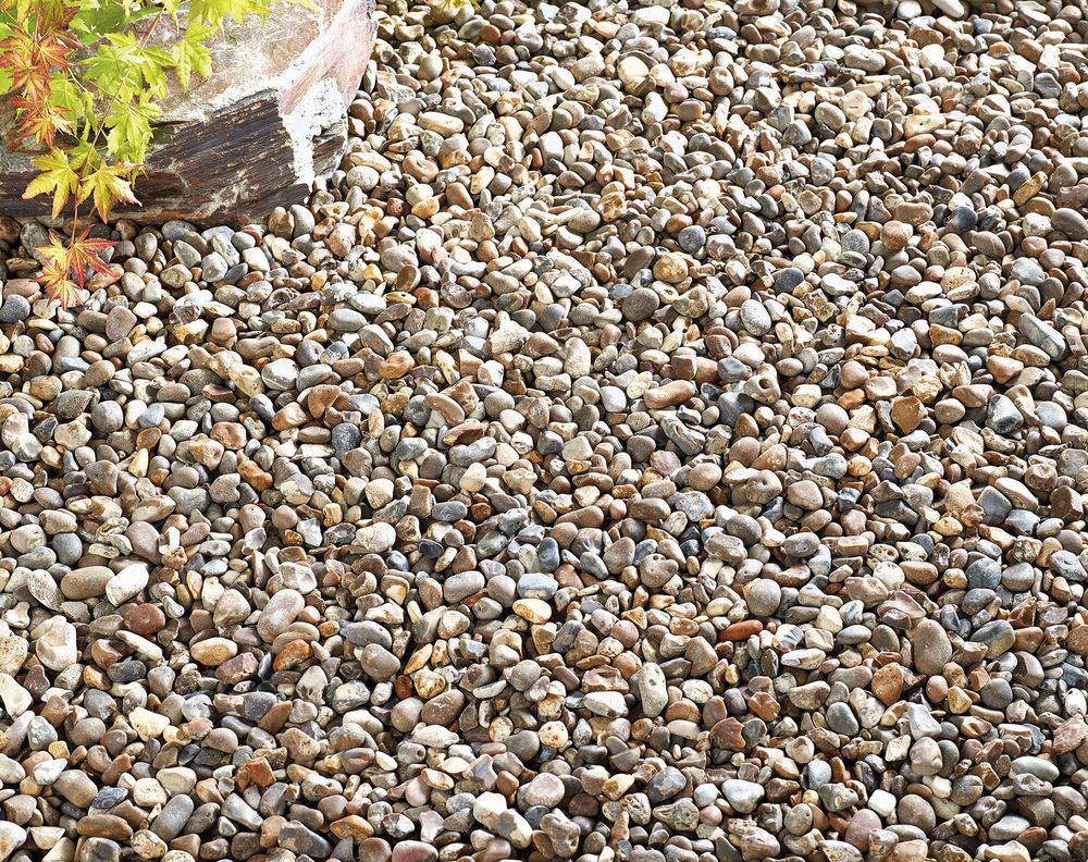 Kelkay Oyster Pearl Pebbles