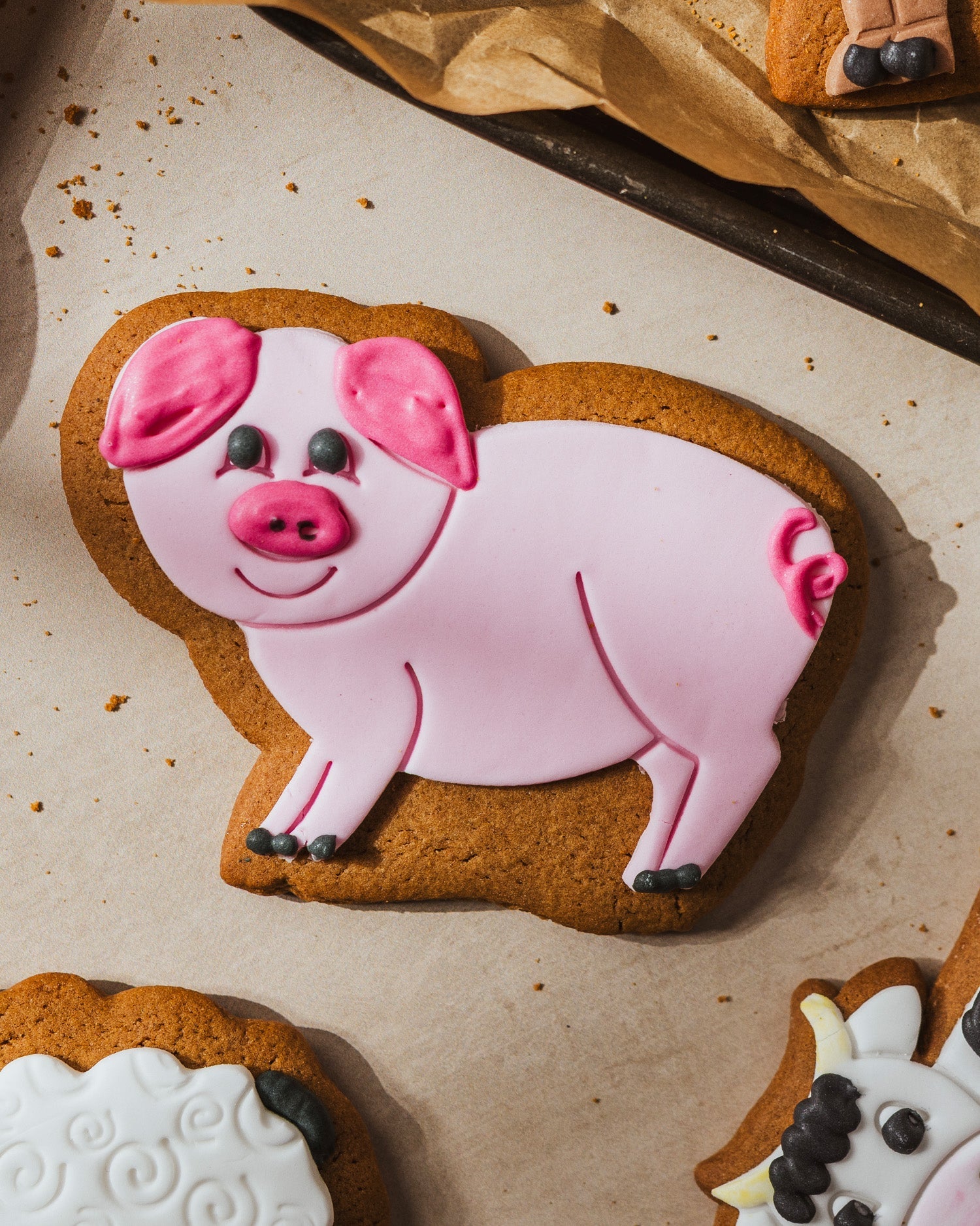 The Original Baker Penny the Pig Ginger Biscuit