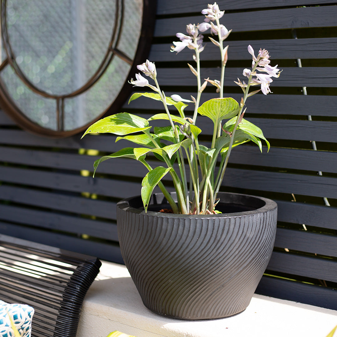 Apta Ripple Low Bowl