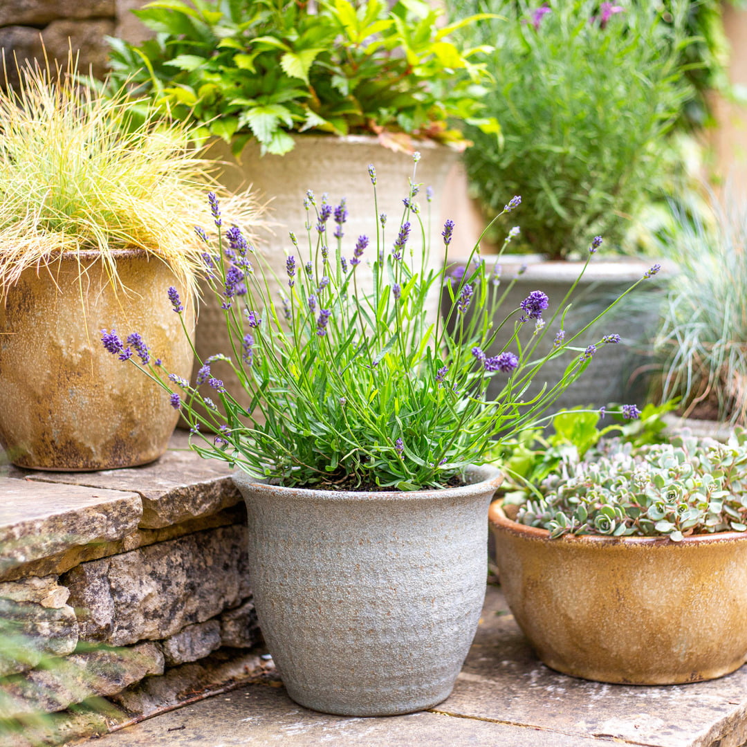 Apta Rustica Antique Bronze Glazed Planter