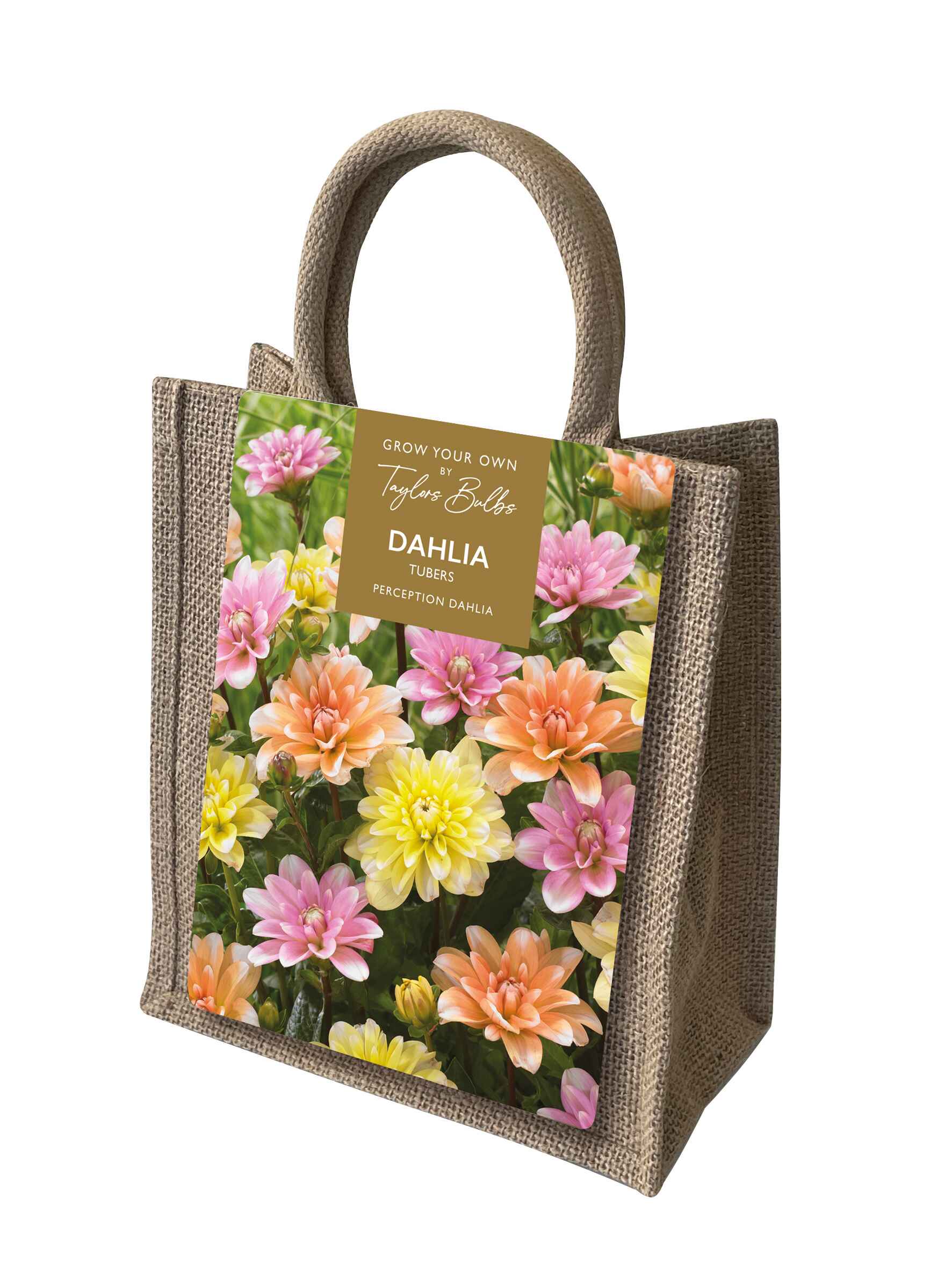 Taylor's Bulbs Dahlia Perception Jute Gift Bag