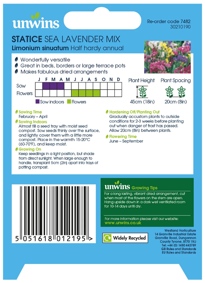 Unwins Statice Sea Lavender Mix Seeds
