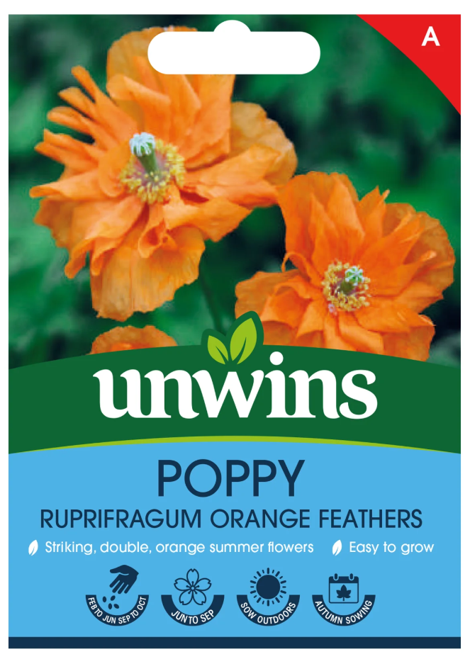 Unwins Poppy Rupifragum Orange Feathers Seeds