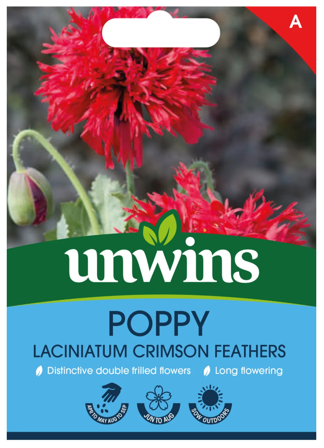 Unwins Poppy Laciniatum Crimson Feathers Seeds