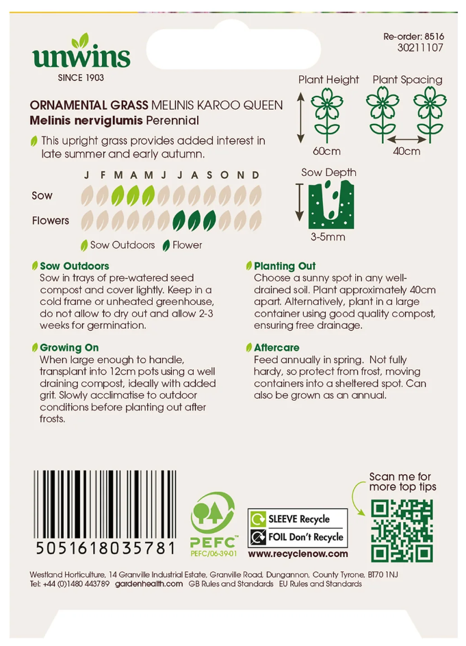Unwins Ornamental Grass Melinis Karoo Queen Seeds