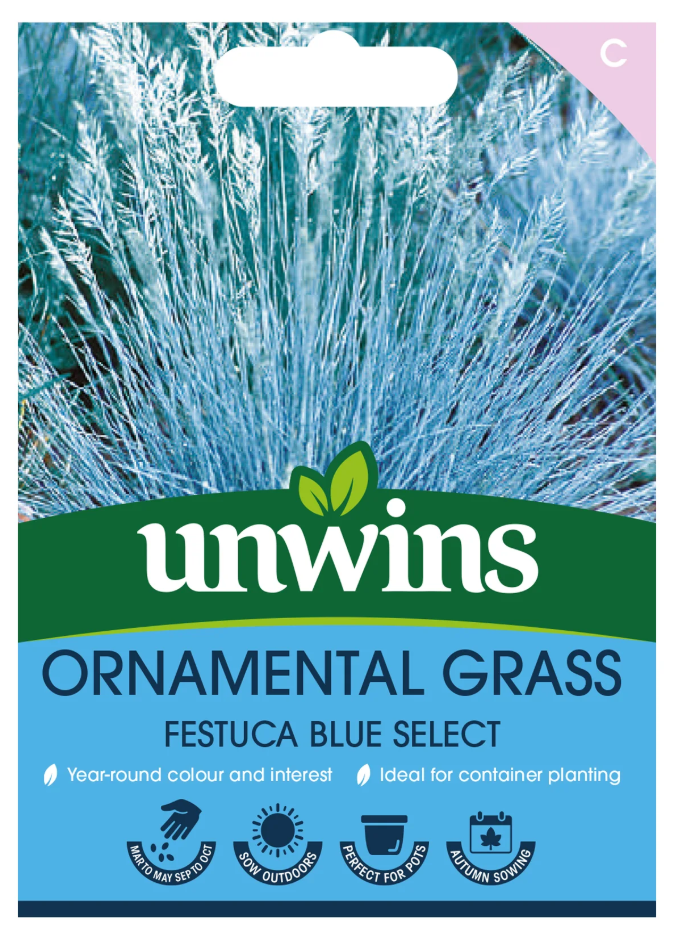 Unwins Ornamental Grass Festuca Blue Select