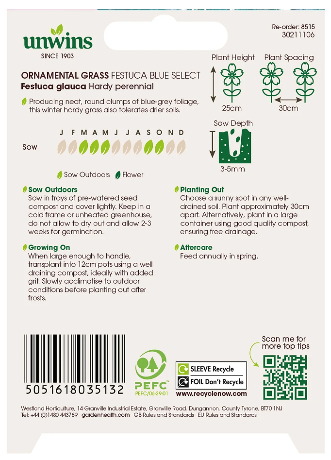Unwins Ornamental Grass Festuca Blue Select