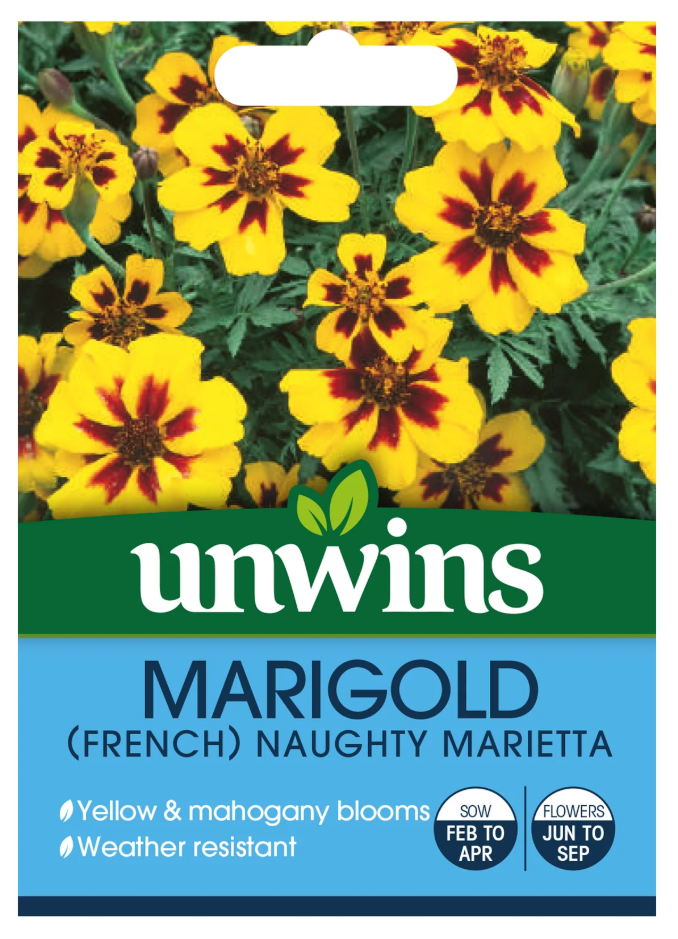 Unwins Marigold French Naughty Marietta Seeds