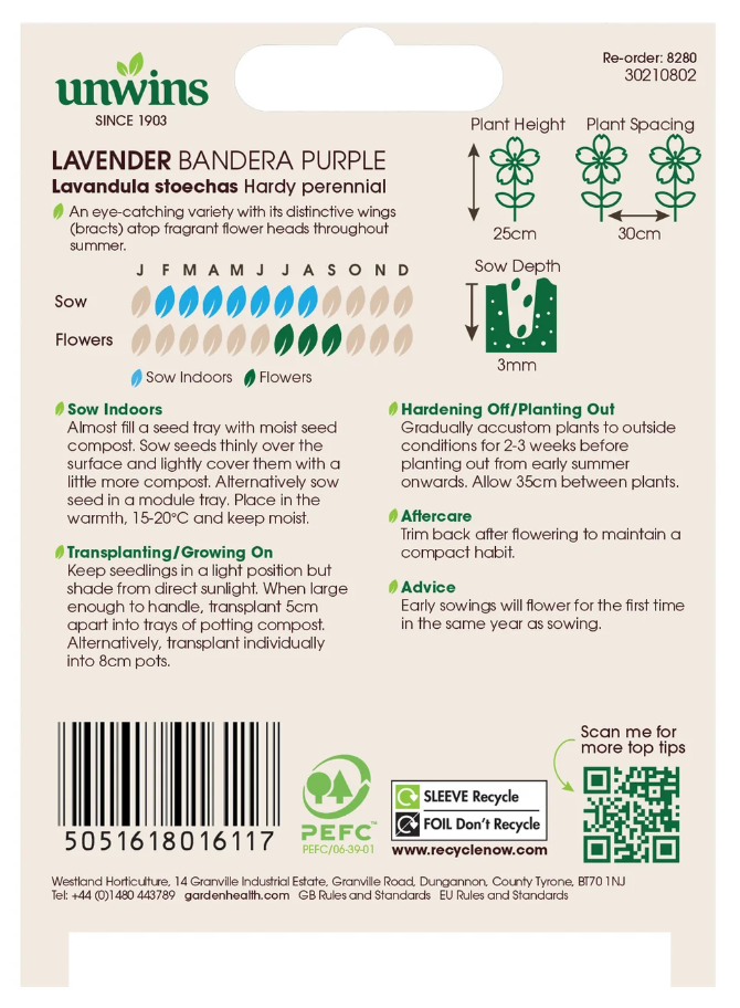 Unwins Lavender Bandera Purple Seeds
