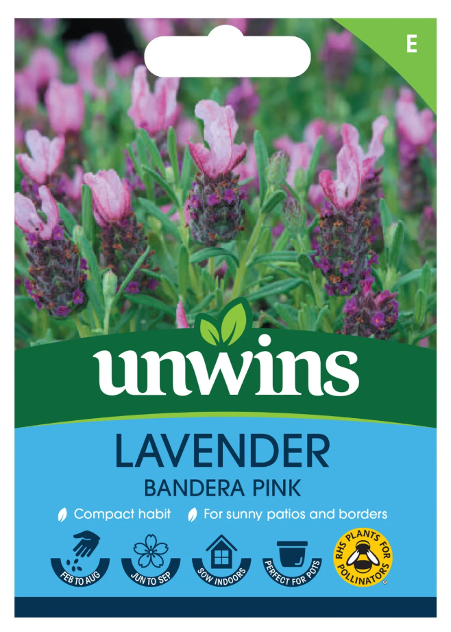 Unwins Lavender Bandera Pink Seeds