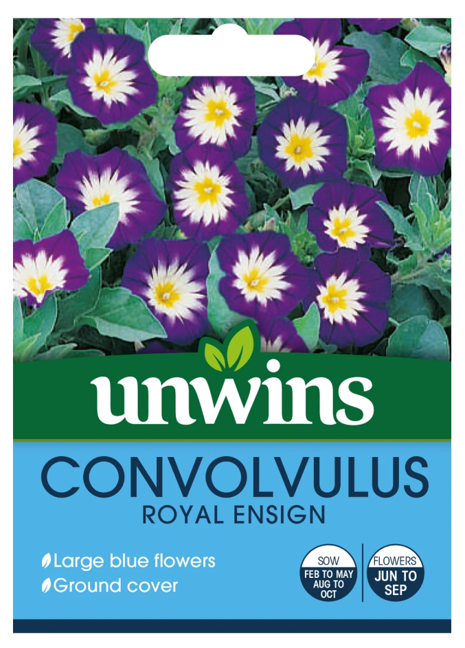 Unwins Convolvulus Royal Ensign Seeds
