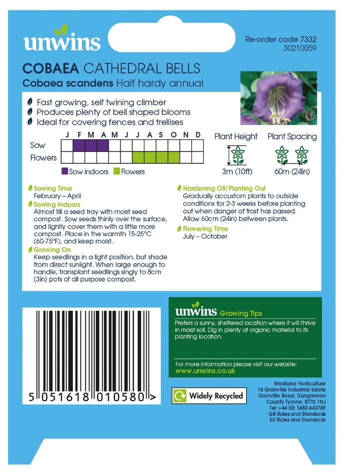 Unwins Cobaea Cathedral Bells Seeds