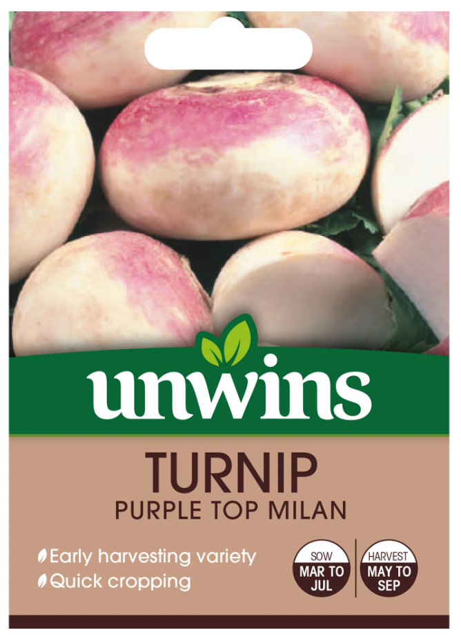 Unwins Turnip Purple Top Milan