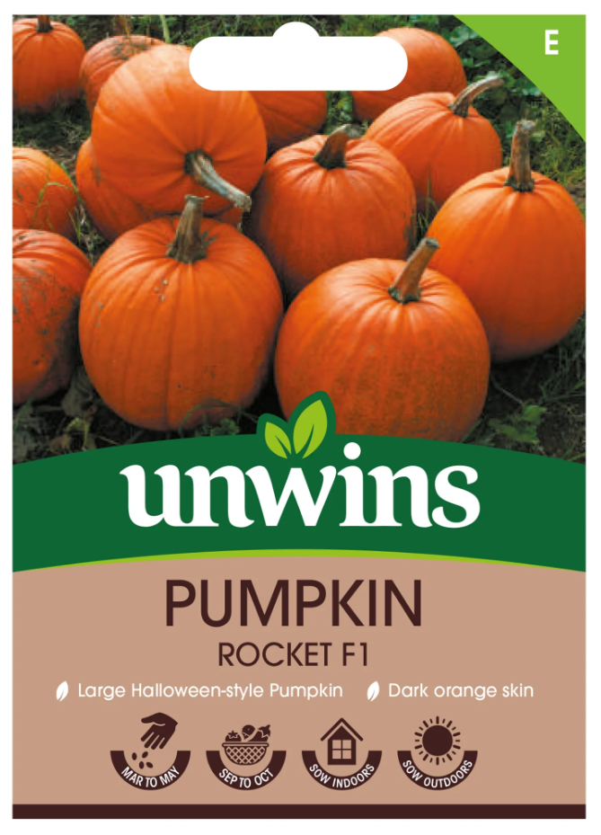 Unwins Pumpkin Rocket F1 Seeds