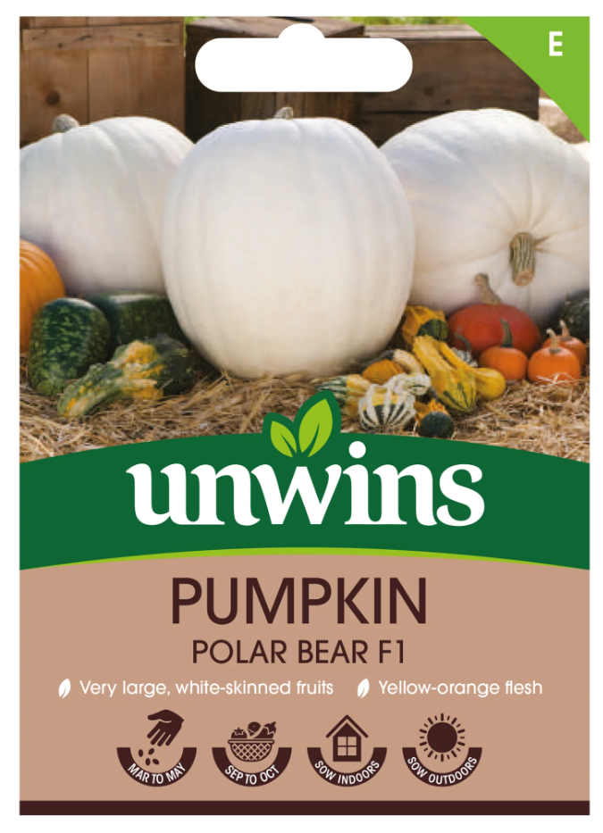 Unwins Pumpkin Polar Bear F1 Seeds